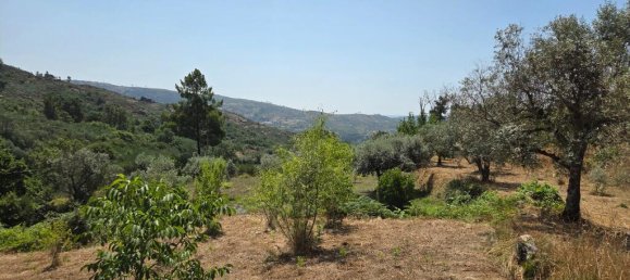 2 Schlafzimmer Haus in Trancoso, Portugal, Nr. 261387 12