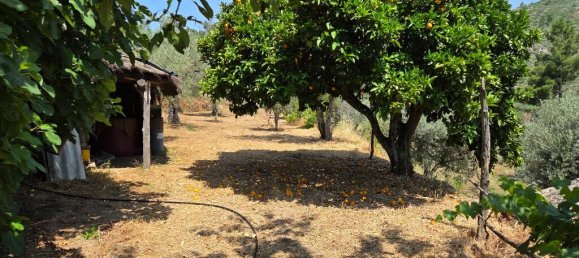 2 Schlafzimmer Haus in Trancoso, Portugal, Nr. 261387 16