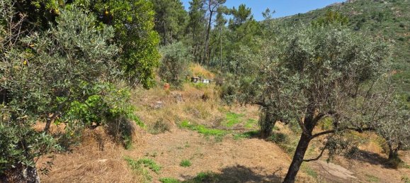 2 Schlafzimmer Haus in Trancoso, Portugal, Nr. 261387 8