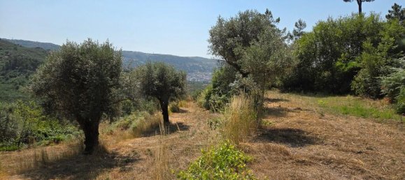 2 Schlafzimmer Haus in Trancoso, Portugal, Nr. 261387 4