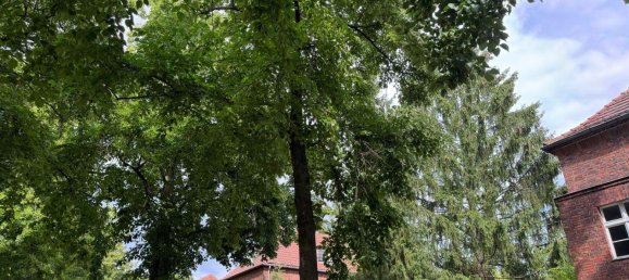 7 rooms Townhouse in Lichterfelde, Germany No. 310051 4