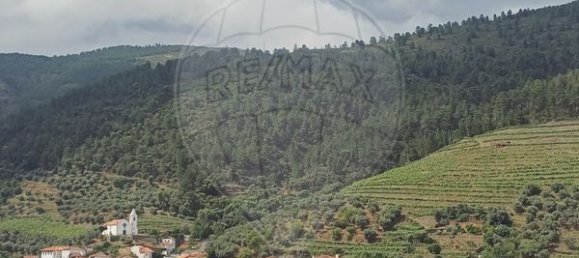 6 bedrooms House in Sabrosa, Portugal No. 188879 24