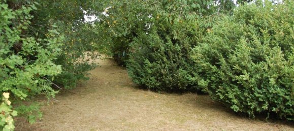 8-salle Maison à Cochem-Zell, Germany No. 230973 19