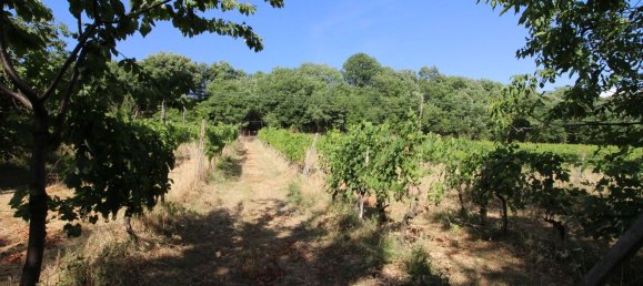 8 rooms House in Montespertoli, Italy No. 48949 46