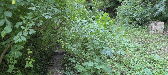 2827m² Land in St. Andra-Wordern, Austria No. 222740 15