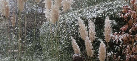 Adosado de 4 dormitorios en Gifhorn, Germany No. 291410 6