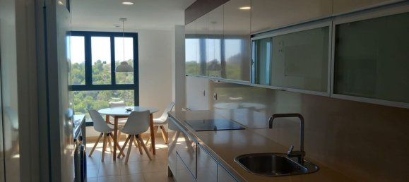 3 غرف نوم بانتهاوس في Alicante, Spain رقم 152217 8