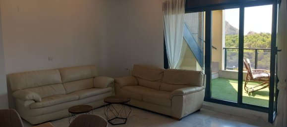 3 غرف نوم بانتهاوس في Alicante, Spain رقم 152217 4