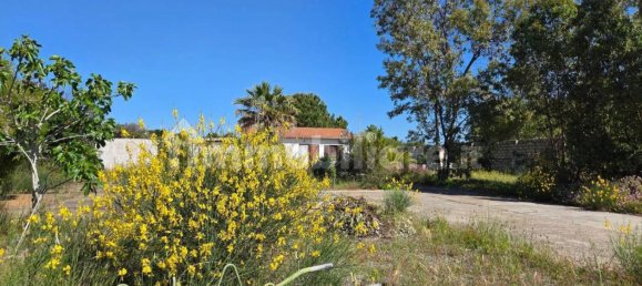 2 bedrooms Villa in Sardinia, Italy No. 338352 13