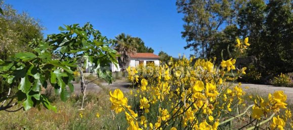 2 bedrooms Villa in Sardinia, Italy No. 338352 16