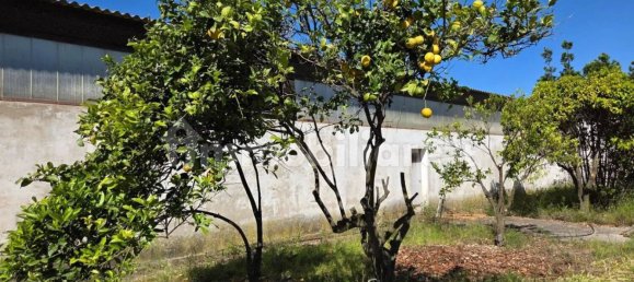 2 bedrooms Villa in Sardinia, Italy No. 338352 22