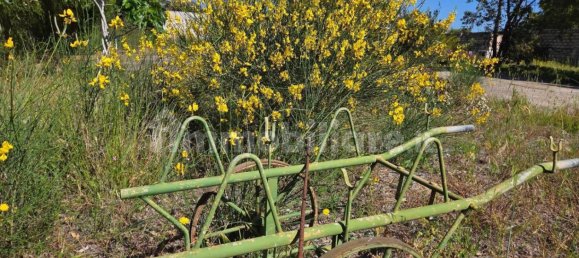 2 bedrooms Villa in Sardinia, Italy No. 338352 14