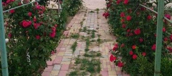 7 chambres Maison à Khazar, Azerbaijan No. 225 20