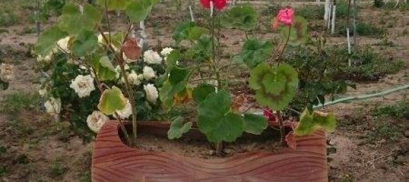 7 chambres Maison à Khazar, Azerbaijan No. 225 7