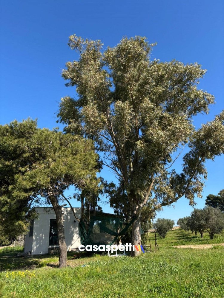 4غرفة منزل في Nardò, Italy رقم 27752