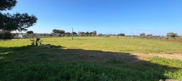 4غرفة منزل في Nardò, Italy رقم 27752 13