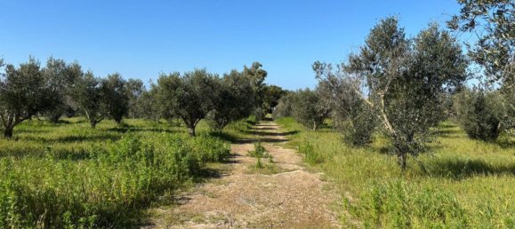 4غرفة منزل في Nardò, Italy رقم 27752 16