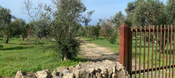 4غرفة منزل في Nardò, Italy رقم 27752 19