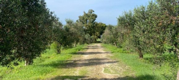 4غرفة منزل في Nardò, Italy رقم 27752 20