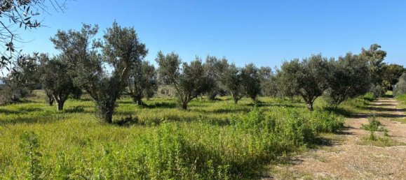 4غرفة منزل في Nardò, Italy رقم 27752 15