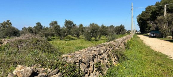 4غرفة منزل في Nardò, Italy رقم 27752 14