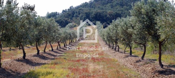 564m² Land in Garriguella, Spain No. 73566 9