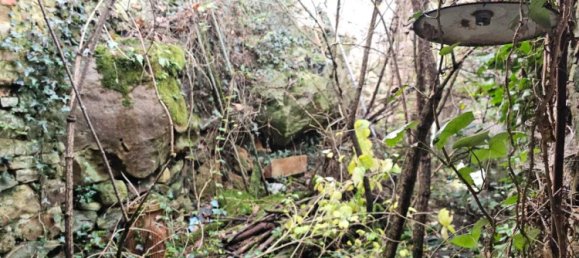 1 غرف نوم منزل في Dun-le-Poelier, France رقم 52217 10