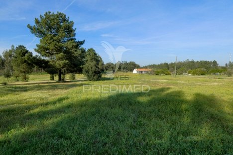 30320m² Land in Salvaterra de Magos, Portugal No. 89010