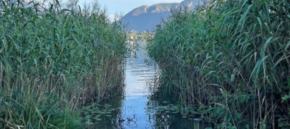  Land in Mondsee, Austria No. 109959 6