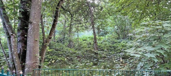  Land in Mondsee, Austria No. 109959 3