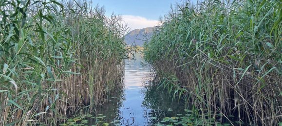  Land in Mondsee, Austria No. 109959 2