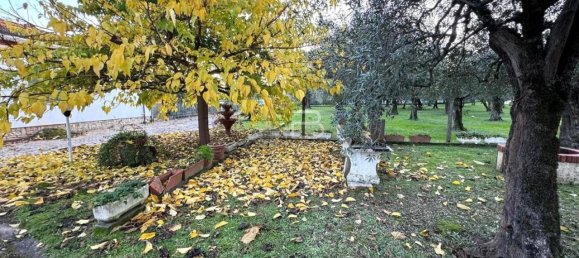 7غرفة فيلا في Seravezza, Italy رقم 168030 39