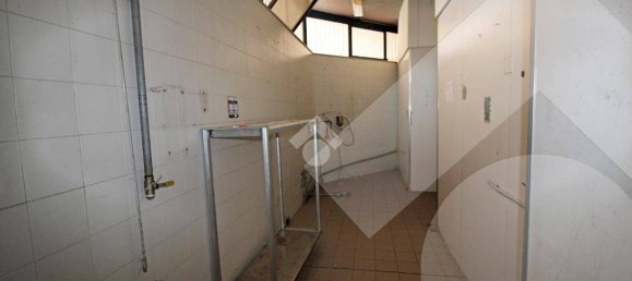 2-Zimmer Gewerbliche Immobilie in Pregnana Milanese, Italy, Nr. 232115 24