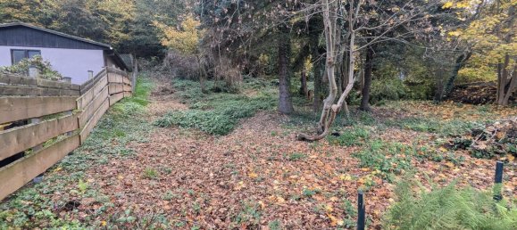 Grundstück in Sächsische Schweiz-Osterzgebirge, Germany, Nr. 189002 2