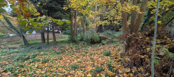 Grundstück in Sächsische Schweiz-Osterzgebirge, Germany, Nr. 189002 4