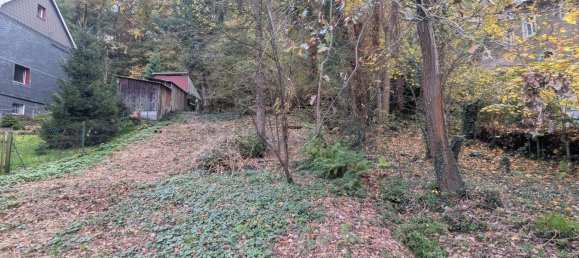 Grundstück in Sächsische Schweiz-Osterzgebirge, Germany, Nr. 189002 5