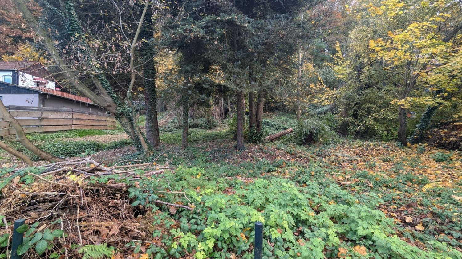 Grundstück in Sächsische Schweiz-Osterzgebirge, Germany, Nr. 189002