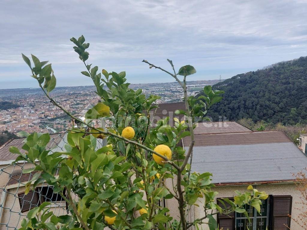 3 bedrooms Villa in Massa, Italy No. 77065