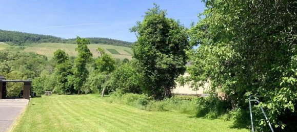  Land in Bernkastel-Wittlich, Germany No. 144199 2