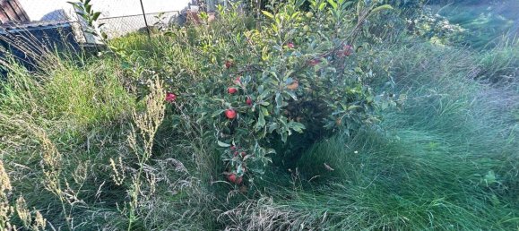 Земельный участок в Markisch-Oderland, Германия № 354756 8