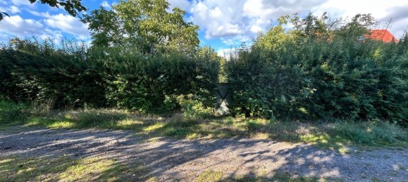 Земельный участок в Markisch-Oderland, Германия № 354756 6