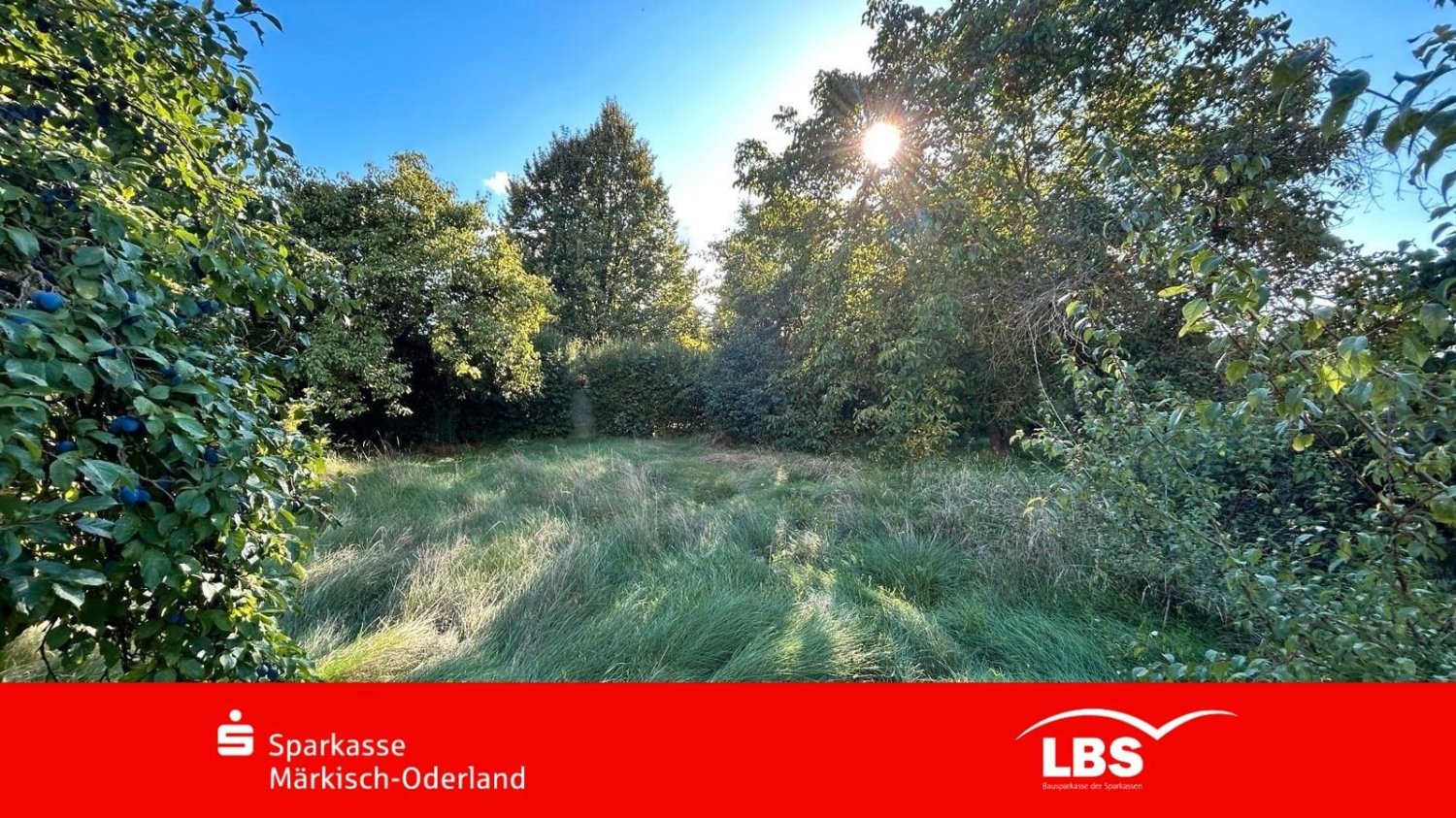 Земельный участок в Markisch-Oderland, Германия № 354756