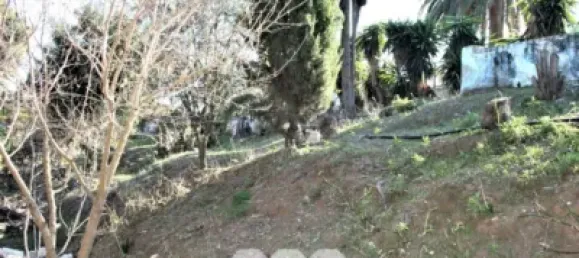 6 Schlafzimmer Haus in Benajarafe, Spain, Nr. 56826 46