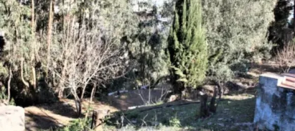 6 Schlafzimmer Haus in Benajarafe, Spain, Nr. 56826 45