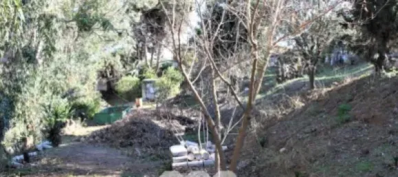 6 Schlafzimmer Haus in Benajarafe, Spain, Nr. 56826 47