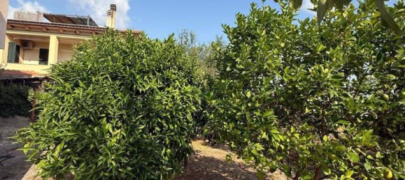 5 chambres Villa à Perfugas, Italy No. 336683 14