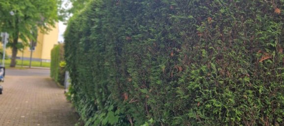 1 chambre Appartement à Essen, Germany No. 335745 20