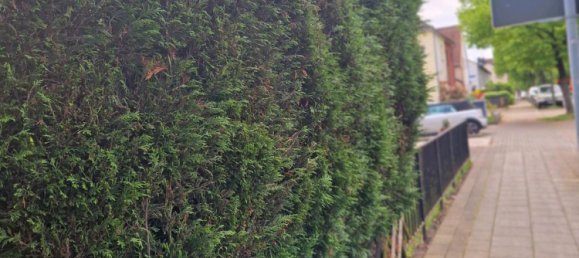 1 chambre Appartement à Essen, Germany No. 335745 19