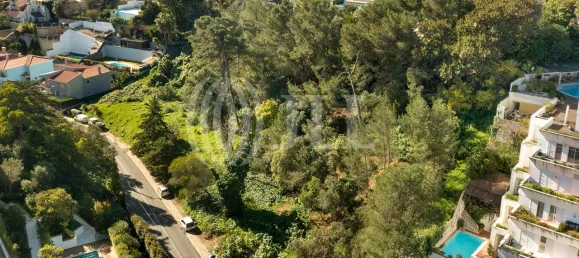 2599m² Land in Cascais, Portugal No. 109713 8