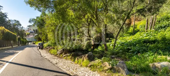 2599m² Land in Cascais, Portugal No. 109713 3